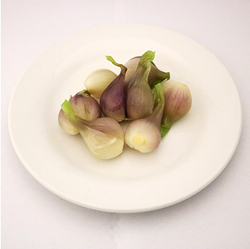 Onion, garden shallot bulb, boiled