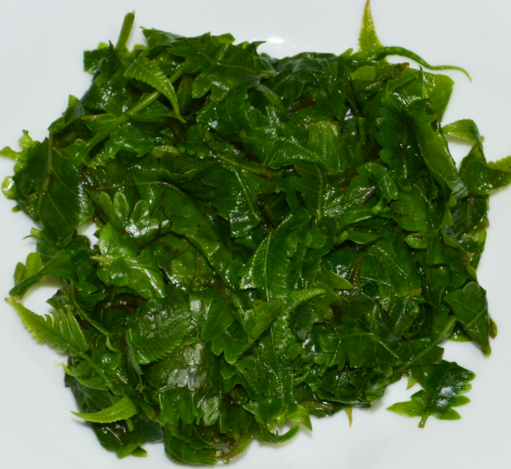 Pako fern lvs, boiled
