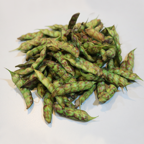 Pigeon pea pod