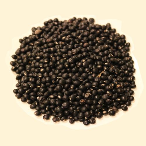 Pigeon pea seed, dried