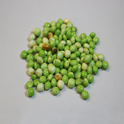 Pigeon pea seed, fresh