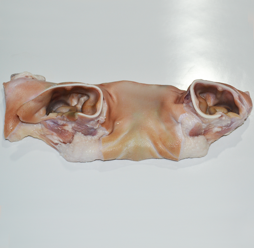 Pork ear