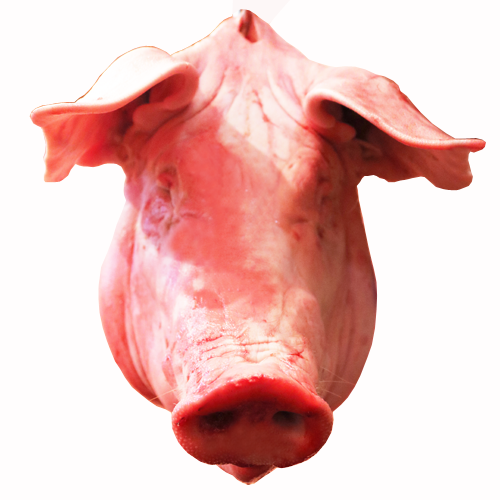 Pork head