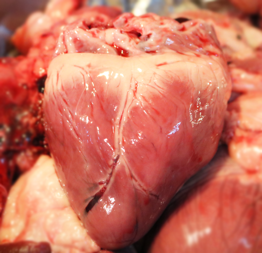 Pork heart