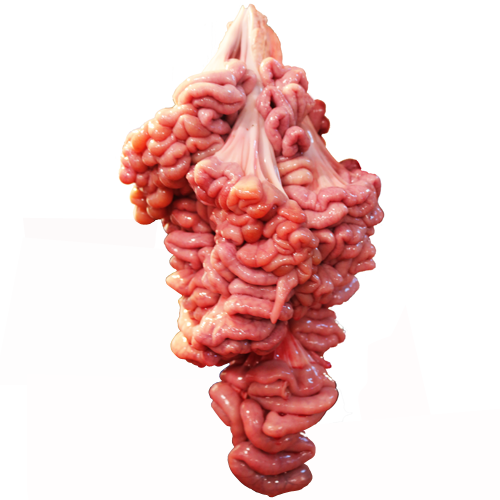 Pork intestine, small