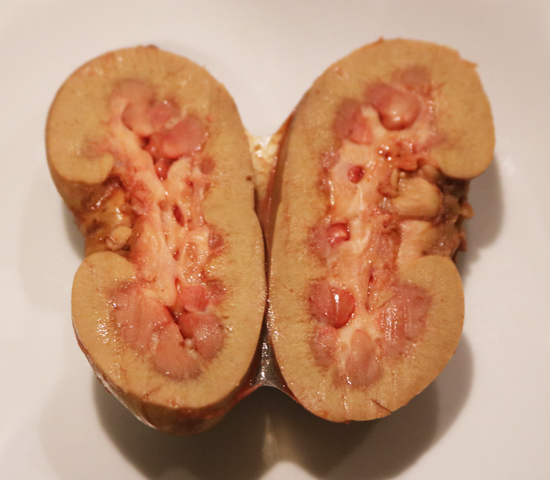 Pork kidney, boiled