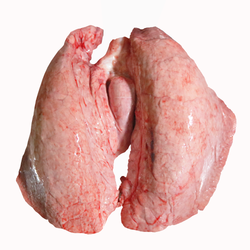 Pork lung