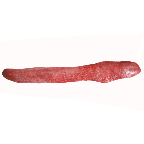 Pork spleen
