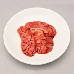 Pork, suckling, brain