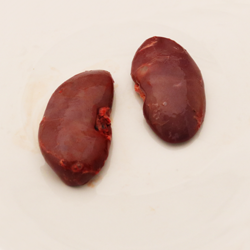 Pork, suckling, kidney