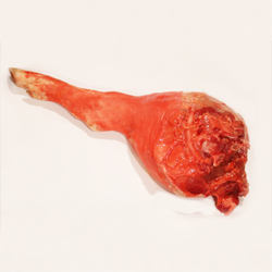 Pork, suckling, leg