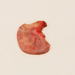 Pork, suckling, stomach