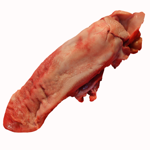Pork tongue