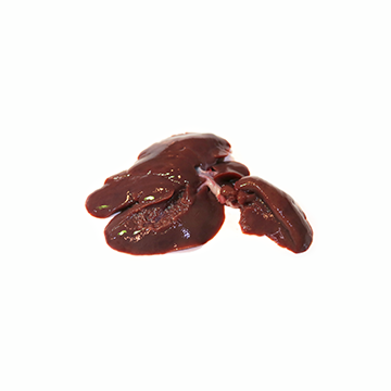Rabbit liver