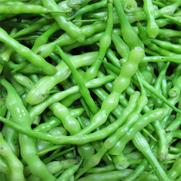 Radish, pod