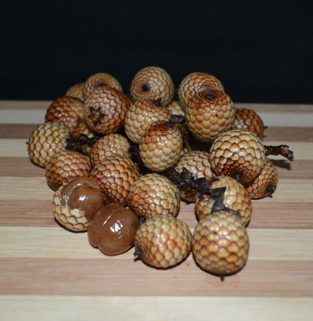 Rattan fruit