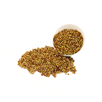 Rice bean seed, dried