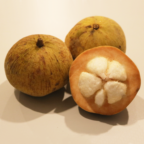 Santol