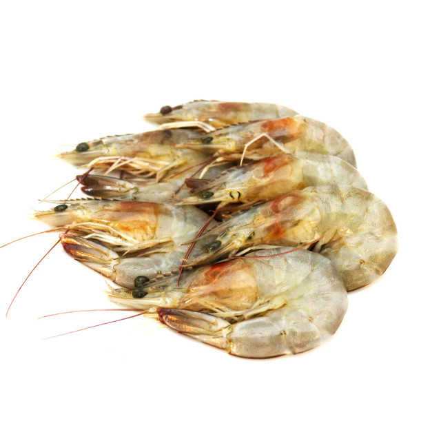 Shrimp, banana prawn