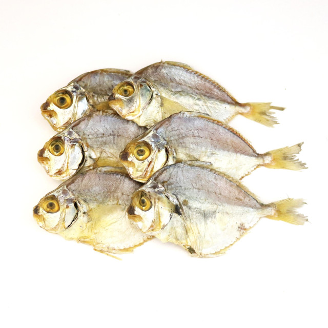 Slipmouth, common, dried