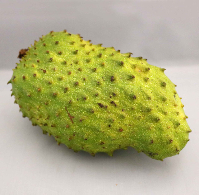 Soursop