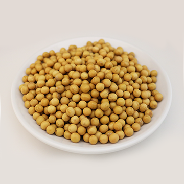 Soybean seed, yellow, dried