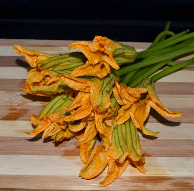 Squash flower