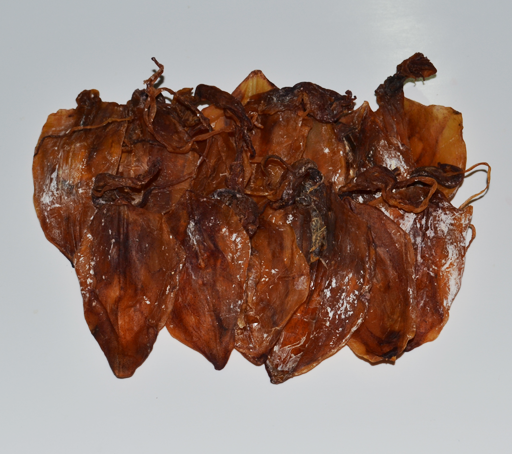 Squid, dried