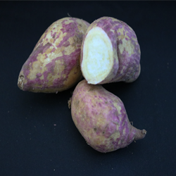 Sweet potato, white