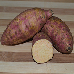 Sweet potato, yellow