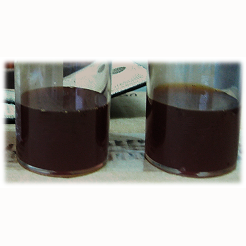 Syrup, coconut sap