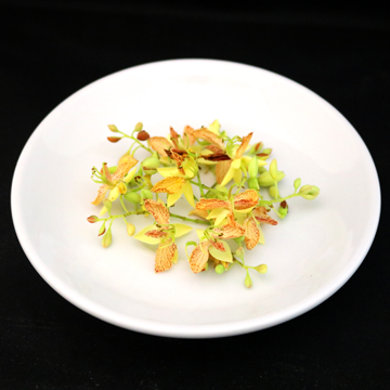 Tamarind flower