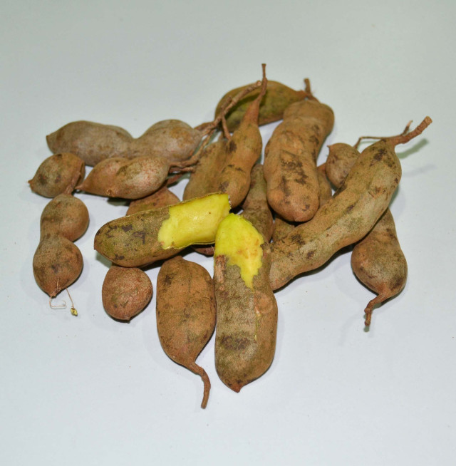 Tamarind, unripe