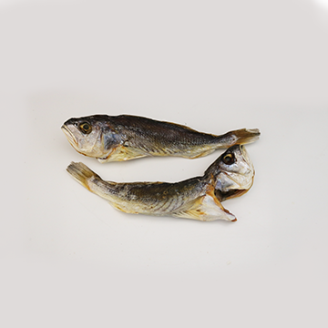 Theraponid, silvery, dried