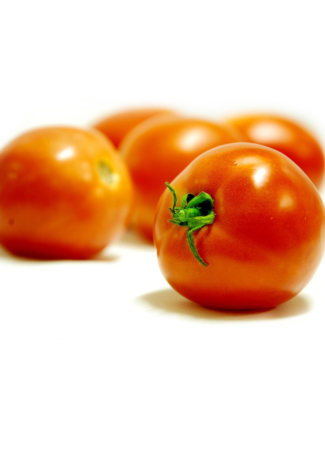 Tomato