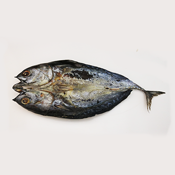 Tuna, frigate, dried