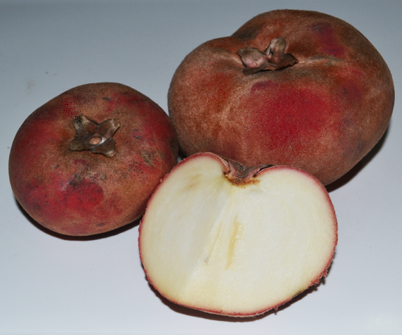 Velvet apple