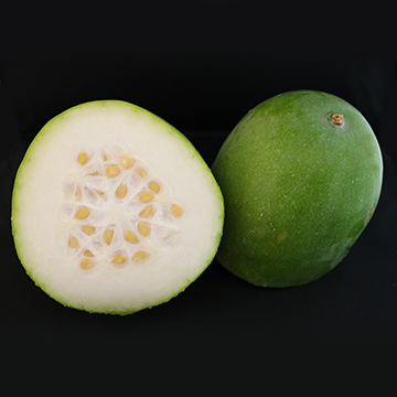 Wax gourd fruit