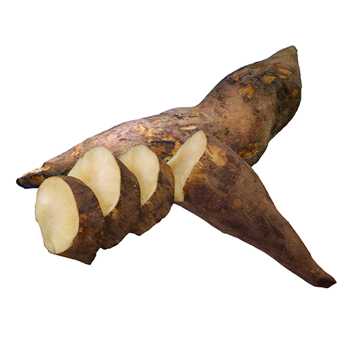 Yacon tuber, raw