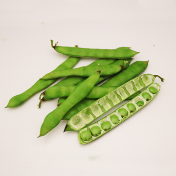Yam bean, pod